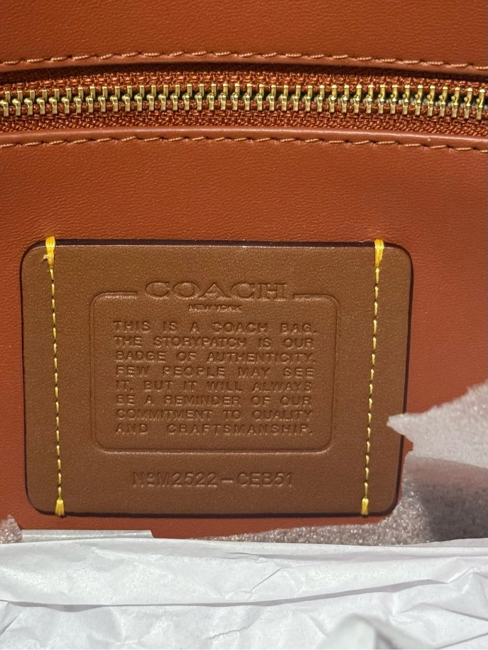 Coach Chelsea 36 in Suede Clay - NWT